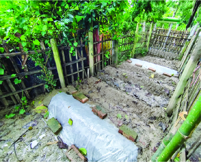 Image of মো: খালিদ হোসেন শান্ত
